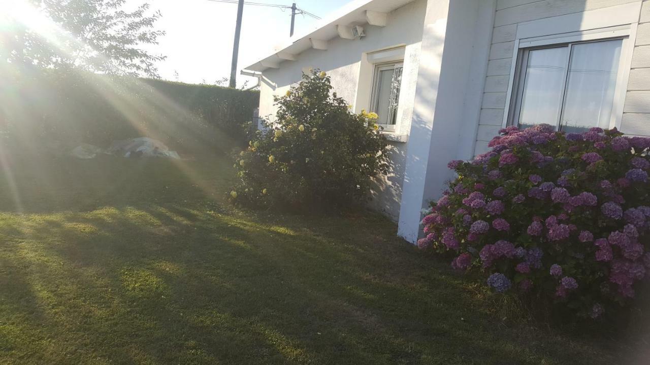 La Maison Des Oiseaux Eu (Seine-Maritime) Exteriér fotografie